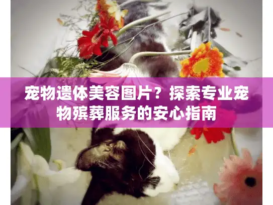 宠物遗体美容图片？探索专业宠物殡葬服务的安心指南
