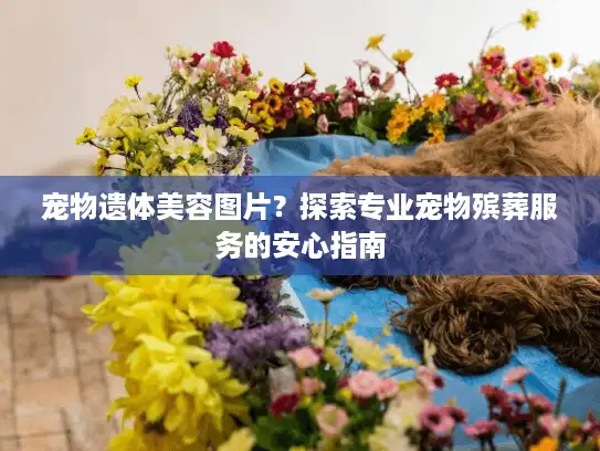 宠物遗体美容图片？探索专业宠物殡葬服务的安心指南
