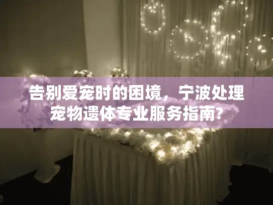 告别爱宠时的困境，宁波处理宠物遗体专业服务指南?
