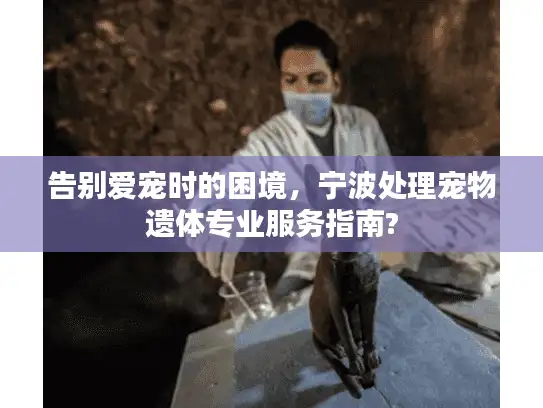 告别爱宠时的困境，宁波处理宠物遗体专业服务指南?