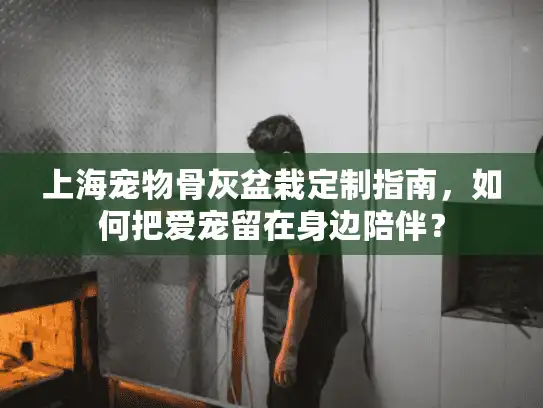 上海宠物骨灰盆栽定制指南，如何把爱宠留在身边陪伴？