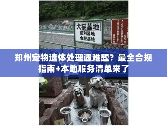 郑州宠物遗体处理遇难题？最全合规指南+本地服务清单来了