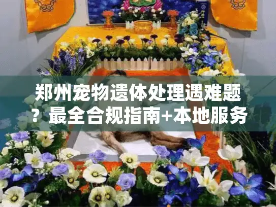 郑州宠物遗体处理遇难题？最全合规指南+本地服务清单来了