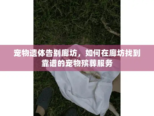宠物遗体告别廊坊，如何在廊坊找到靠谱的宠物殡葬服务