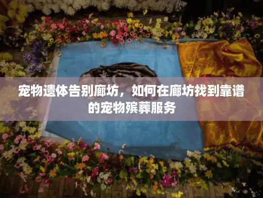 宠物遗体告别廊坊，如何在廊坊找到靠谱的宠物殡葬服务
