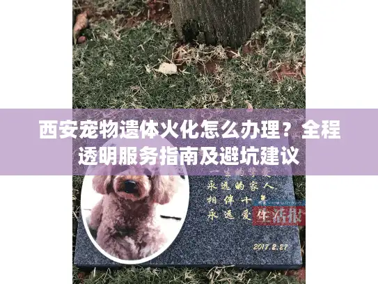 西安宠物遗体火化怎么办理？全程透明服务指南及避坑建议