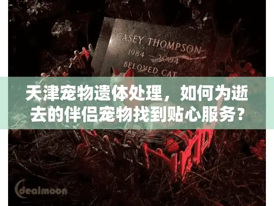 天津宠物遗体处理，如何为逝去的伴侣宠物找到贴心服务？
