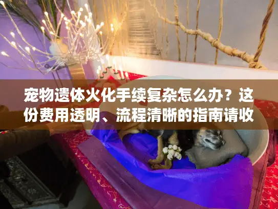 宠物遗体火化手续复杂怎么办？这份费用透明、流程清晰的指南请收好