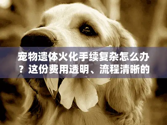 宠物遗体火化手续复杂怎么办？这份费用透明、流程清晰的指南请收好