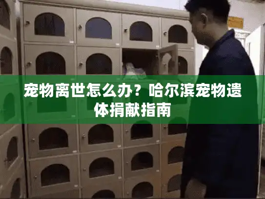 宠物离世怎么办？哈尔滨宠物遗体捐献指南