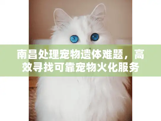 南昌处理宠物遗体难题，高效寻找可靠宠物火化服务