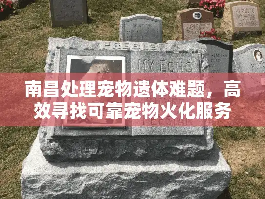 南昌处理宠物遗体难题，高效寻找可靠宠物火化服务