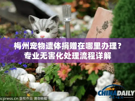 梅州宠物遗体捐赠在哪里办理？专业无害化处理流程详解