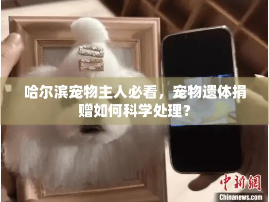 哈尔滨宠物主人必看，宠物遗体捐赠如何科学处理？