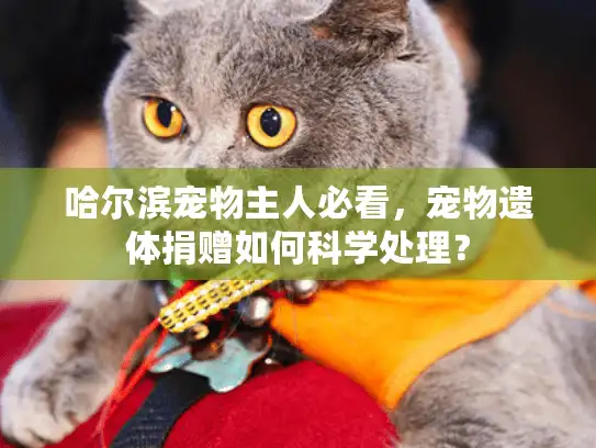 哈尔滨宠物主人必看，宠物遗体捐赠如何科学处理？