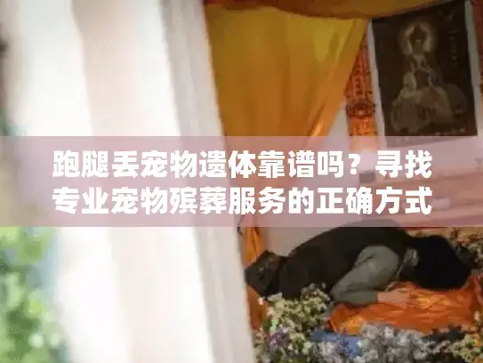 跑腿丢宠物遗体靠谱吗？寻找专业宠物殡葬服务的正确方式