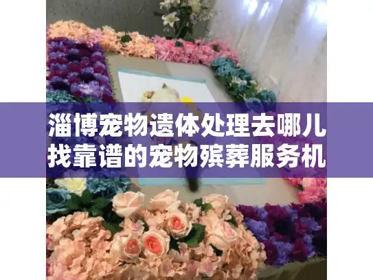 淄博宠物遗体处理去哪儿找靠谱的宠物殡葬服务机构？