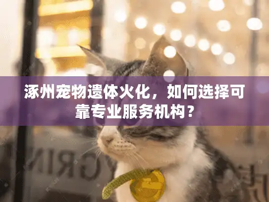 涿州宠物遗体火化，如何选择可靠专业服务机构？