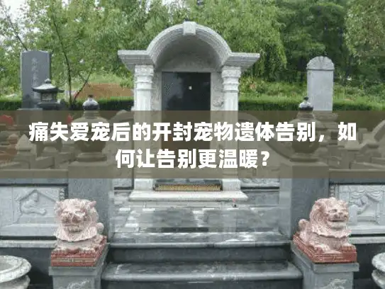 痛失爱宠后的开封宠物遗体告别，如何让告别更温暖？