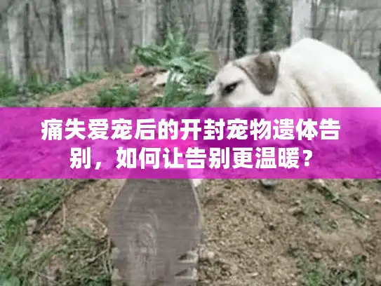 痛失爱宠后的开封宠物遗体告别，如何让告别更温暖？