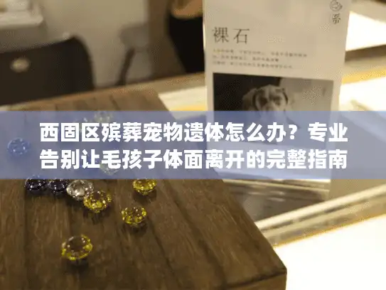 西固区殡葬宠物遗体怎么办？专业告别让毛孩子体面离开的完整指南