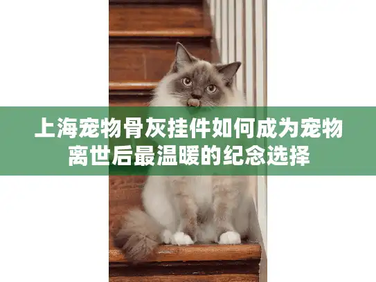 上海宠物骨灰挂件如何成为宠物离世后最温暖的纪念选择