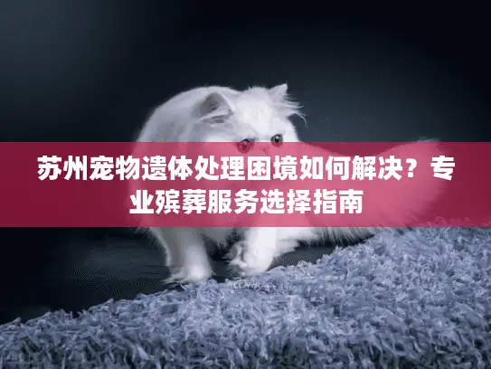 苏州宠物遗体处理困境如何解决？专业殡葬服务选择指南