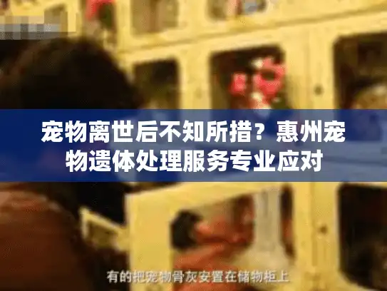 宠物离世后不知所措？惠州宠物遗体处理服务专业应对