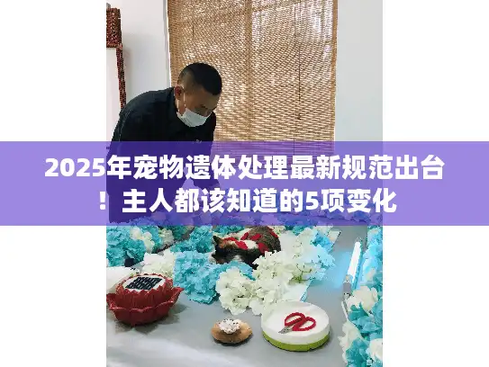 2025年宠物遗体处理最新规范出台！主人都该知道的5项变化