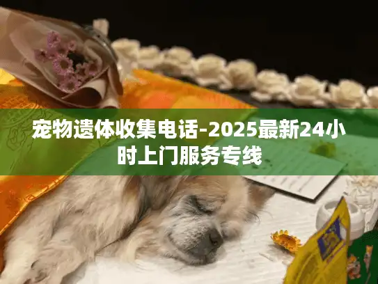 宠物遗体收集电话-2025最新24小时上门服务专线