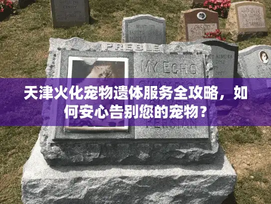 天津火化宠物遗体服务全攻略，如何安心告别您的宠物？