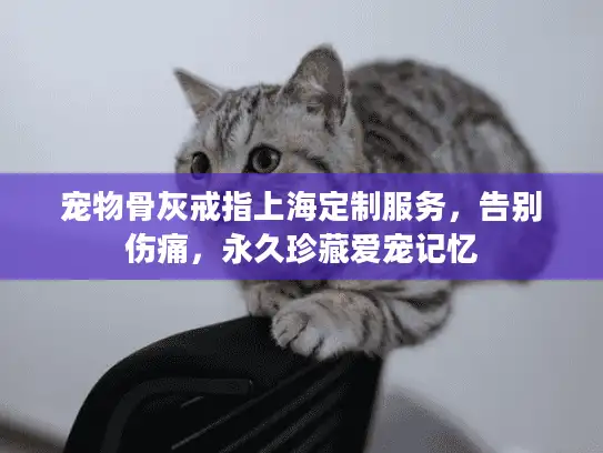 宠物骨灰戒指上海定制服务，告别伤痛，永久珍藏爱宠记忆