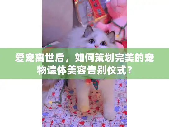 爱宠离世后，如何策划完美的宠物遗体美容告别仪式？