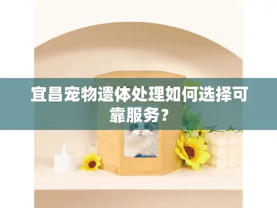 宜昌宠物遗体处理如何选择可靠服务？