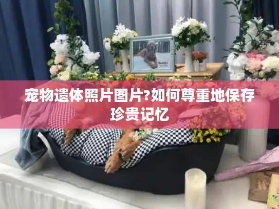 宠物遗体照片图片?如何尊重地保存珍贵记忆