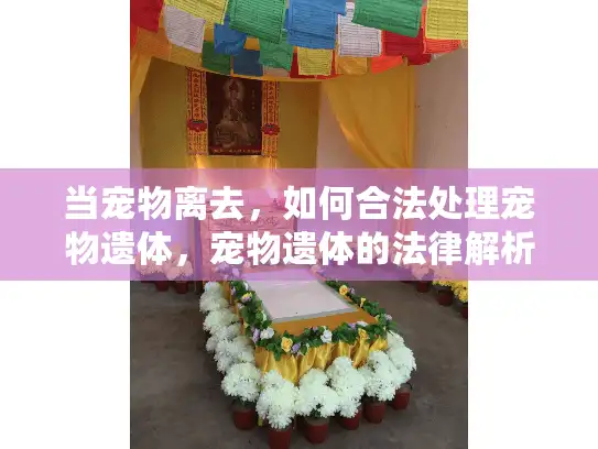 当宠物离去，如何合法处理宠物遗体，宠物遗体的法律解析