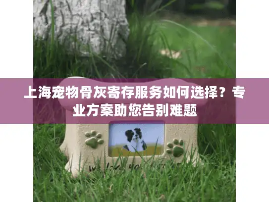上海宠物骨灰寄存服务如何选择？专业方案助您告别难题