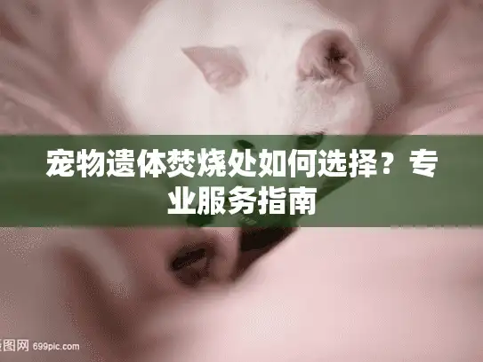 宠物遗体焚烧处如何选择？专业服务指南
