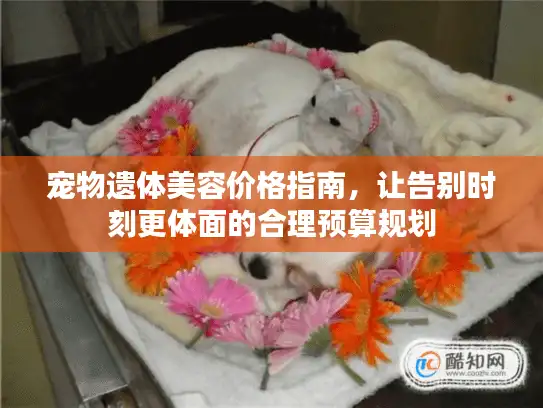 宠物遗体美容价格指南，让告别时刻更体面的合理预算规划