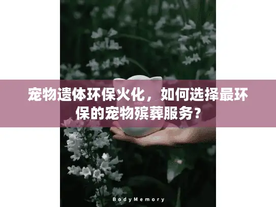 宠物遗体环保火化，如何选择最环保的宠物殡葬服务？