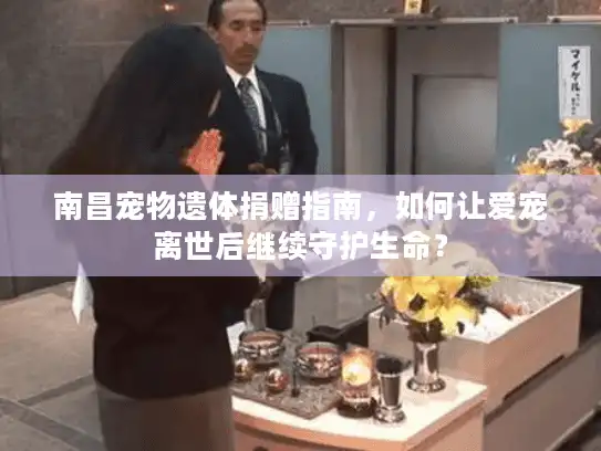南昌宠物遗体捐赠指南，如何让爱宠离世后继续守护生命？