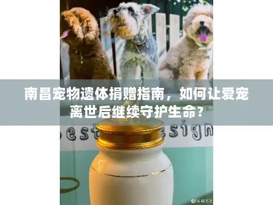 南昌宠物遗体捐赠指南，如何让爱宠离世后继续守护生命？