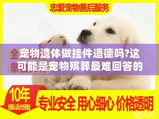 宠物遗体做挂件道德吗?这可能是宠物殡葬最难回答的问题