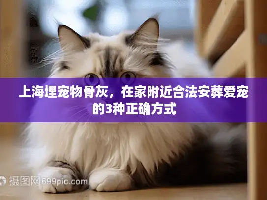 上海埋宠物骨灰，在家附近合法安葬爱宠的3种正确方式