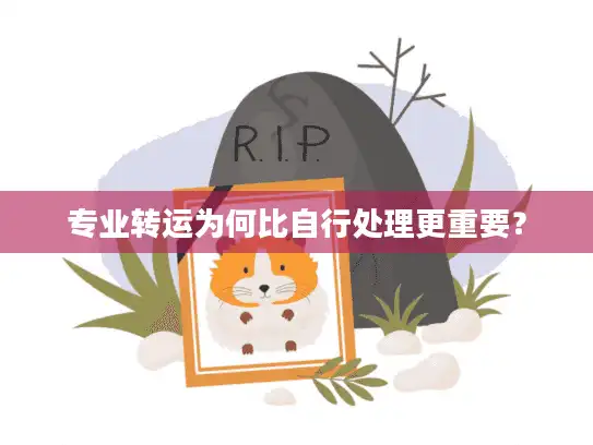 专业转运为何比自行处理更重要？