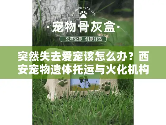 突然失去爱宠该怎么办？西安宠物遗体托运与火化机构全流程指南
