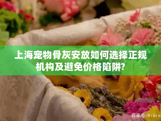 上海宠物骨灰安放如何选择正规机构及避免价格陷阱?