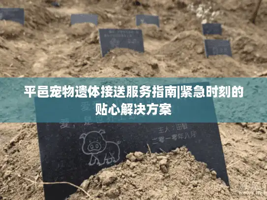 平邑宠物遗体接送服务指南|紧急时刻的贴心解决方案