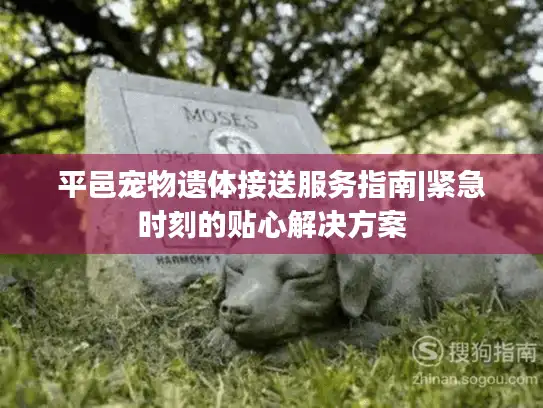 平邑宠物遗体接送服务指南|紧急时刻的贴心解决方案