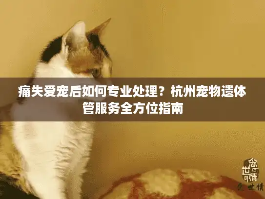 痛失爱宠后如何专业处理？杭州宠物遗体管服务全方位指南